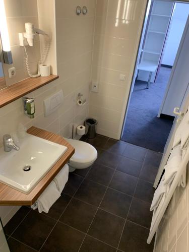 a bathroom with a toilet and a sink at Eisberg Hotel Schwanen in Lahr