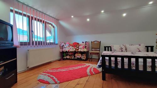 a baby room with a crib and a tv at DARIAMAF in Câmpulung Moldovenesc