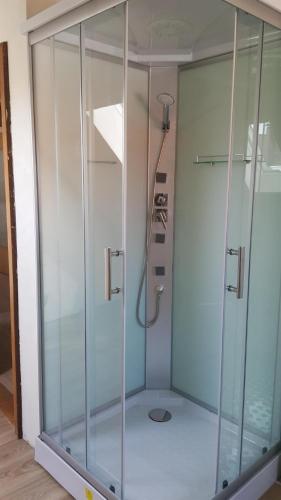 a shower with a glass door in a room at Ferienwohnungen Jedebrock in Burhave