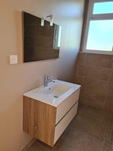 une salle de bain avec un lavabo et un miroir dans l'établissement Le Petit Gîte du Mont, à Beauvoir