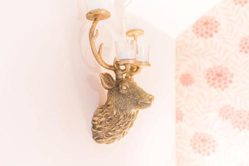 a wall mount deer head with antlers on a wall at Sandbeds Farmhouse in Kendal