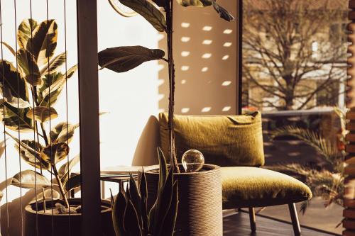 a chair and plants in front of a window at Hotel Birkenhof in Bad Radkersburg