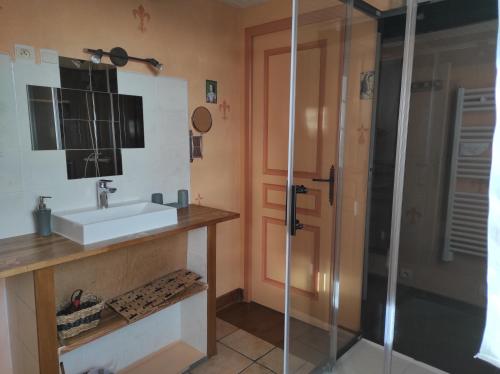 y baño con lavabo y ducha. en Chambres d'Hôtes Au Clos du Lit, en Lamballe