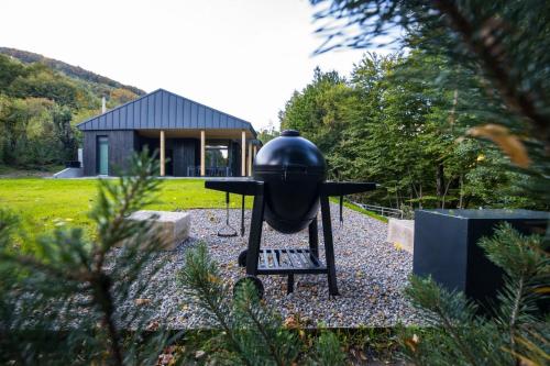 a bbq grill in the middle of a garden at Vila Nura in Teşila