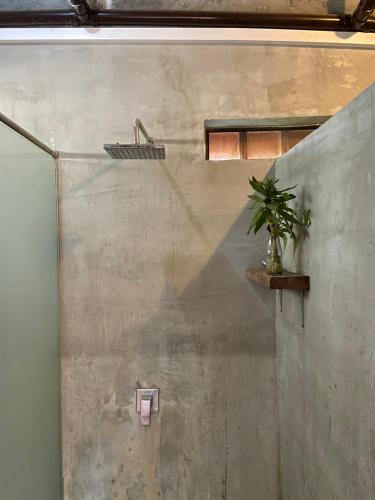 a potted plant sitting on a shelf in a bathroom at Sothea Angkor Homestay in Phumi Ta Phul