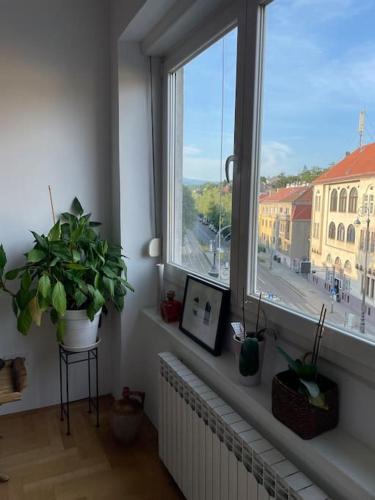 Spacious 3BR/2BT Apartment with A/C in City Center