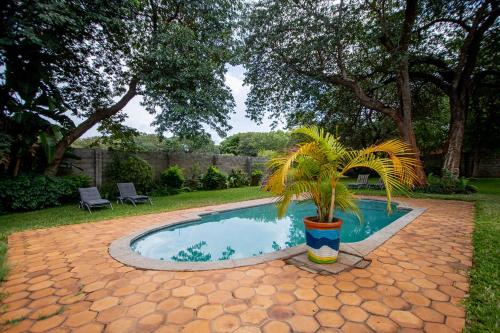 a small pool with a palm tree in a yard at The Victoria Falls Deluxe Suites in Victoria Falls