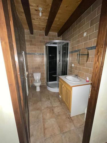 une salle de bain avec une douche, un lavabo et des toilettes dans l'établissement Deux appartements individuels de 8 personne à 200 mètres des remontées mécaniques au centre du village, à Saint-Sorlin-dʼArves