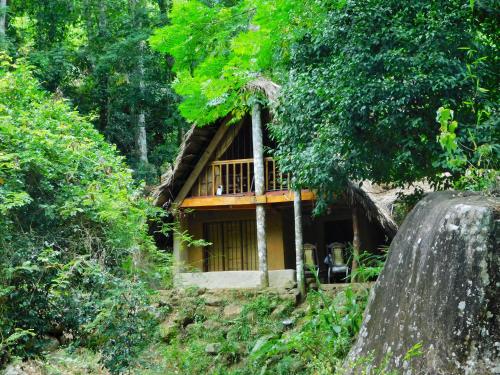 a house in the middle of a forest at Riverston Du Eco Cottage in Rattota