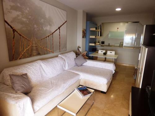 CH Apartment NERJA