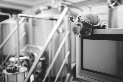 アルゼにあるBed & Beer by Misery BeerCoのギャラリーの写真