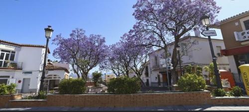 a street with trees with purple flowers at PENTHOUSE NEAR BEACH AND MALAGA TOWN also monthly hire and long term RENTAL CAR AVAILABLE in Málaga
