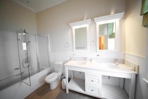 een badkamer met een wastafel, een douche en een toilet bij CatsWhiskers in Graaff-Reinet