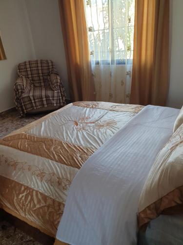 a bedroom with two beds and a chair and a window at Eni's Villa in Lezhë