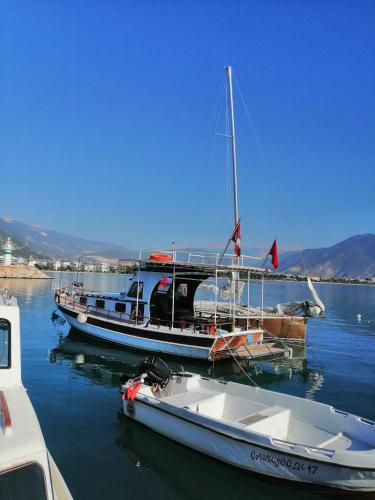 Φυσικό τοπίο κοντά σε αυτό το καταφύγιο