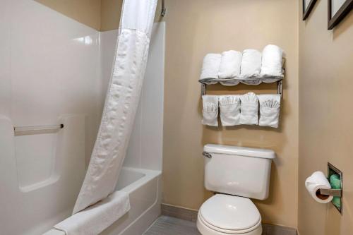 y baño con aseo, ducha y toallas. en Comfort Inn Romeoville - Bolingbrook, en Romeoville