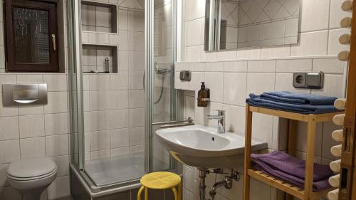 a bathroom with a sink and a shower and a toilet at Ferienwohnung am Hardtwald in Heidenheim an der Brenz