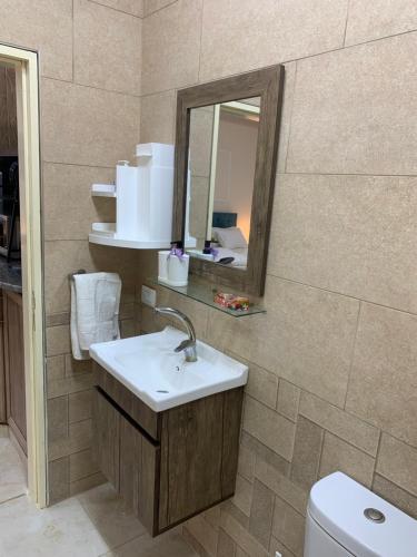 a bathroom with a sink and a mirror and a toilet at Tayoon Host in Jerash