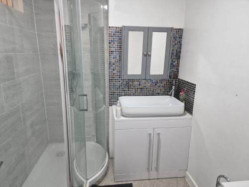 ein Bad mit einer Dusche, einem Waschbecken und einem WC in der Unterkunft Cardiff City Centre Millennium Stadium Accommodation in Cardiff