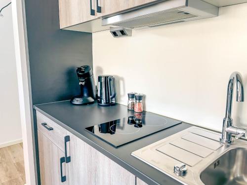 a kitchen with a counter top and a sink at Stilvolles Apartment mit Parkplatz, barrierefrei in Reinheim