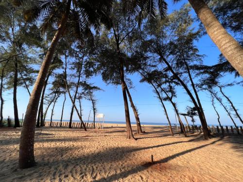 a row of palm trees on the beach at Atlantis Beach Resorts in Kumta