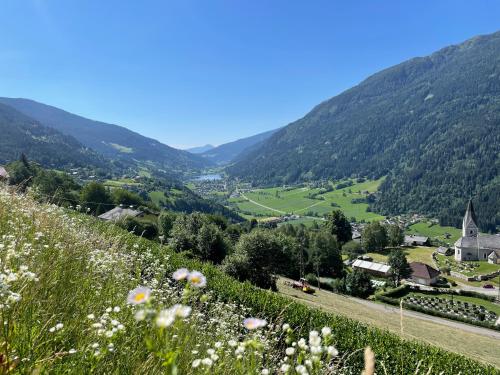 vistas a un valle desde una colina con flores en Nocky Mountains Lodge, en Radenthein