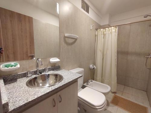 La salle de bains est pourvue d'un lavabo, de toilettes et d'une douche. dans l'établissement DELFINA suites 2A, à La Rioja