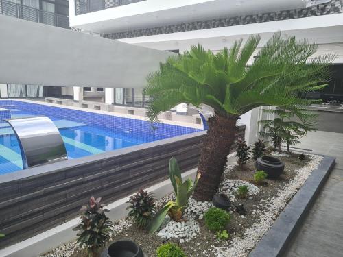 Der Swimmingpool an oder in der Nähe von Dampa Poolside Events & Accommodation