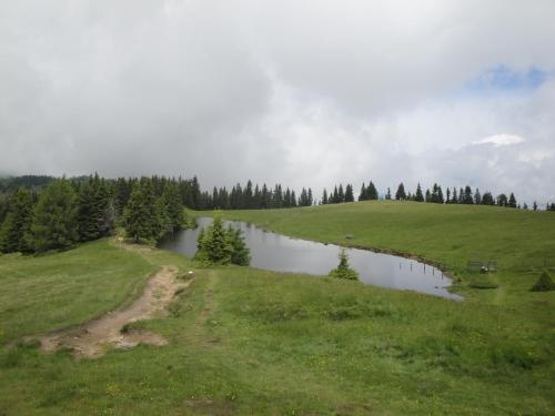 Un paisaje natural cerca del departamento