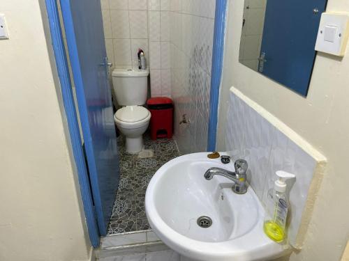 łazienka z umywalką i toaletą w obiekcie Remarkable 2-Bed Apartment Cozy and Comfortable w mieście Ruaka