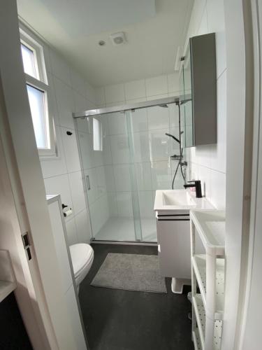 een badkamer met een douche, een toilet en een wastafel bij LUXUS Cube Ferienhaus Chalet am See mit Schwimmbad in Lathum NL in Lathum