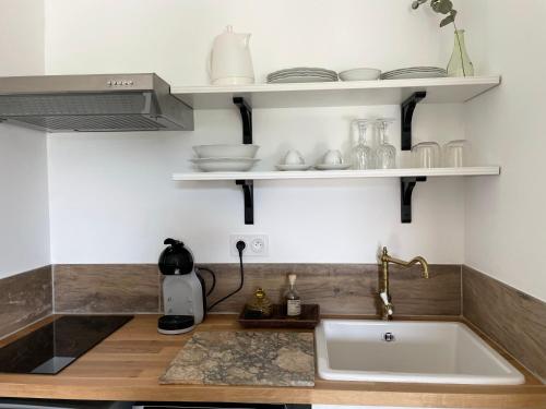 a kitchen with a sink and shelves on the wall at CARLIN Ferme Haute Prairie in Lourmarin