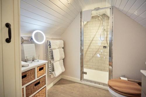 uma casa de banho com um chuveiro e um WC. em Riverside Inn, Aymestrey em Aymestrey