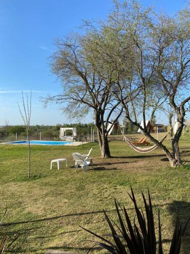 Los colibries – Photos 4