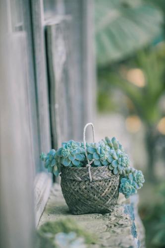 a basket of blue flowers sitting on a window sill at Tiệm Cà Phê Mer Homestay & Coffee Mộc Châu in Mộc Châu