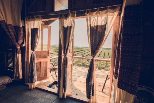a room with a window with a view of a vineyard at Tiệm Cà Phê Mer Homestay & Coffee Mộc Châu in Mộc Châu