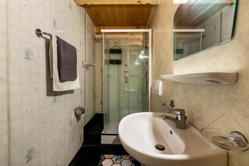 a bathroom with a sink and a shower at Stifterhof App Mathilda in Rio Bianco