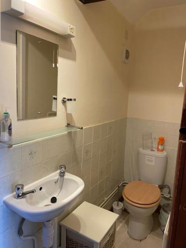 a bathroom with a sink and a toilet and a mirror at Stable Cottage, Old Mill Farm, Cotswold Water Park in Cirencester