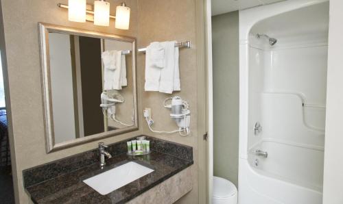 a bathroom with a sink and a mirror at The Oakes Hotel Overlooking the Falls in Niagara Falls