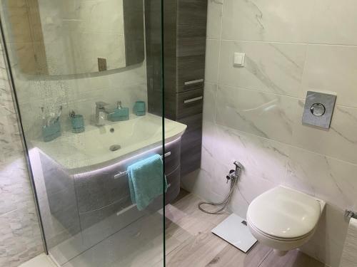 a bathroom with a shower and a toilet and a sink at Vila Sol, Apartment 468 in Quarteira