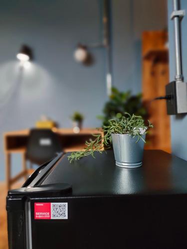 a potted plant sitting on top of a refrigerator at โรงแรม บอร์ดดิ้งเฮ้าส์ in Ban Bang Yai Chuai