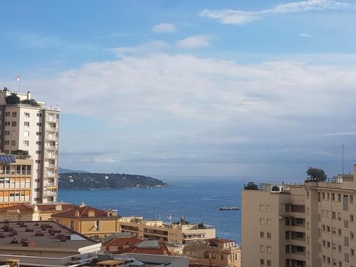 Monaco Grimaldi Forum sea view – Photos 2