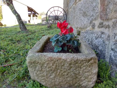 a stone planter with red flowers in it at A Cantaruxa Maruxa Turismo Rural in Mondariz