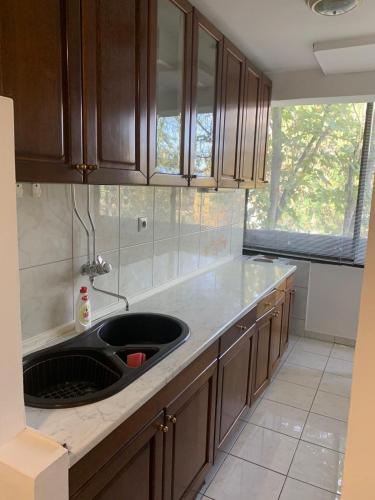een keuken met een spoelbak en houten kasten bij A&A Apartment in Skopje