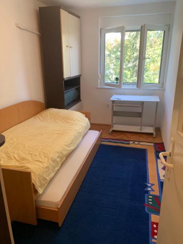 een slaapkamer met een bed en een blauw tapijt bij A&A Apartment in Skopje
