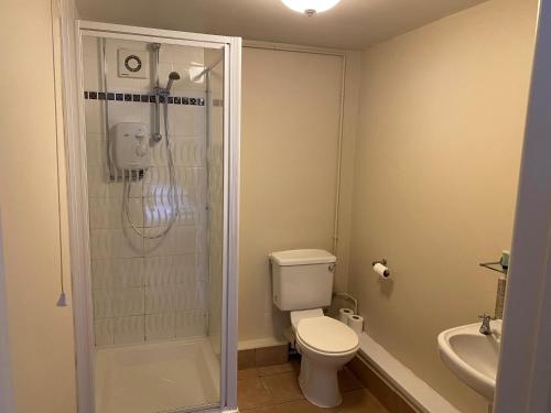 a bathroom with a shower and a toilet and a sink at The Bullshead, Arthingworth House B&B in Market Harborough