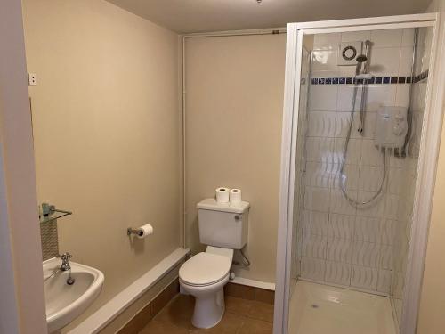a small bathroom with a toilet and a shower at The Bullshead, Arthingworth House B&B in Market Harborough