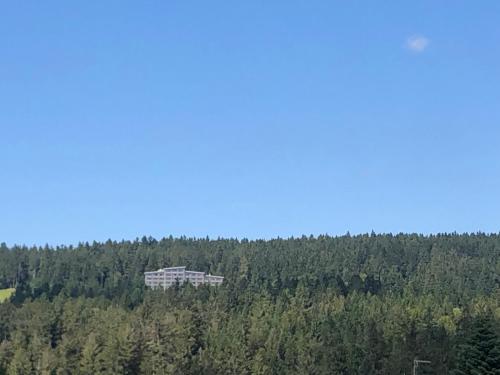 um grande edifício no meio de uma floresta em Panorama Bayerwald em Neureichenau