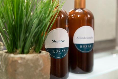 two bottles of wine sitting next to a potted plant at Rozas Apart in Ezeiza