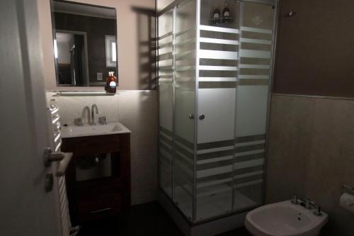 a bathroom with a shower and a toilet and a sink at Rozas Apart in Ezeiza